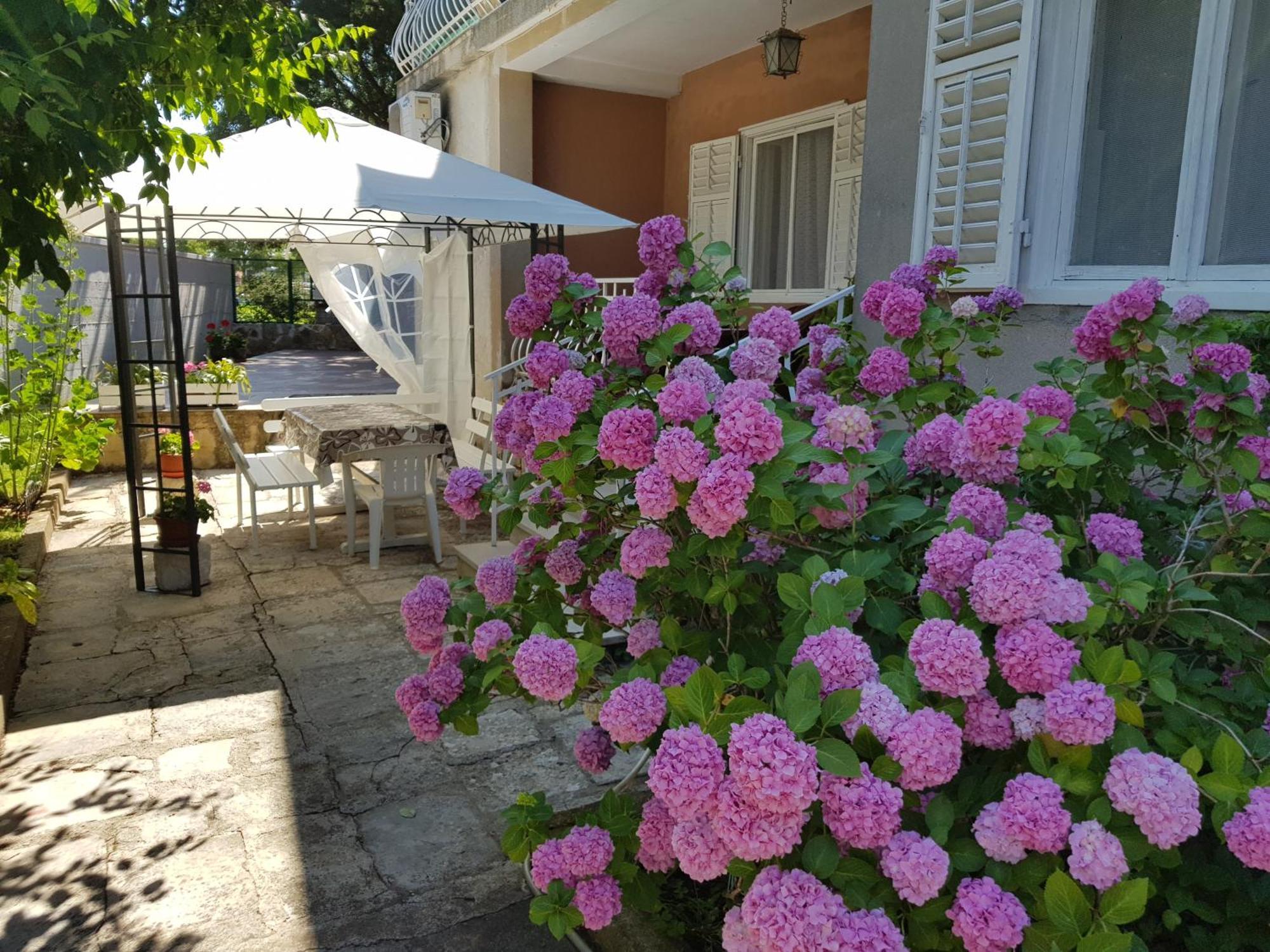 Renata Mare Apartments Rovinj Exteriör bild
